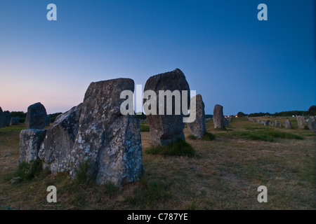 Megalith Ausrichtungen der Zeilen von stehenden Steinen, Carnac, Bretagne, Frankreich, Europa, Stockfoto