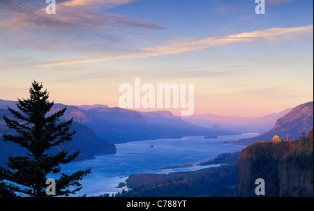 Columbia River Gorge Blick vom Frauen Forum-Park nach Crown Point und Osten bei Sonnenuntergang; Rahmen mit Oregon-Washington, USA. Stockfoto