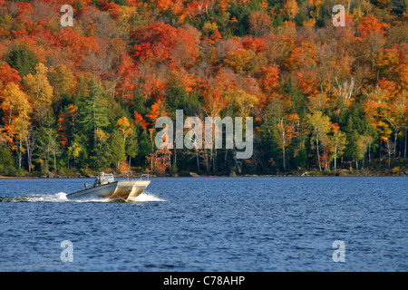 Bootfahren im Herbst. Stockfoto