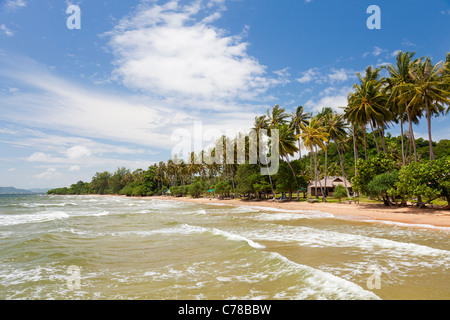 Palm von Bäumen gesäumten tropischen Strand auf Koh Tonsay Island - Kep-Provinz, Kambodscha Stockfoto