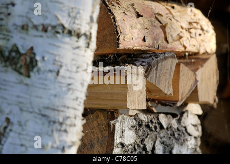 Horizontale Foto Birke Brennholz gestapelt neben Birke.  Mittlere Schärfentiefe mit Fokus auf den Holzstapel. Stockfoto