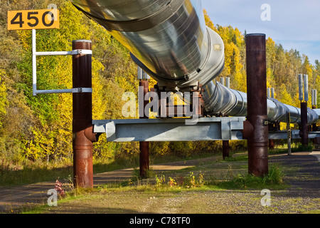 Trans-Alaska-Pipeline im Herbst Stockfoto