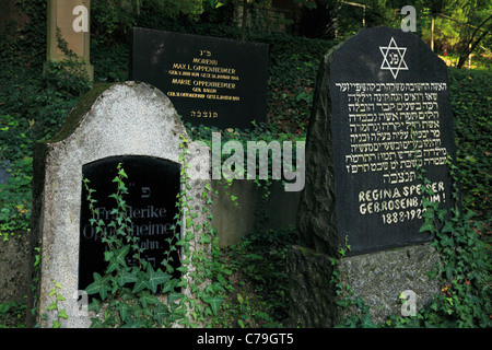 D-Heidelberg, Neckar, Rhein-Neckar-Raum, Natur Naturschutzgebiet Neckartal-Odenwald, Bergstraße, Odenwald, Baden-Württemberg, jüdischer Friedhof auf dem Bergfriedhof am Ameisenbuckel Hügel, Gräber, hebräische Schrift, Davidstern Stockfoto