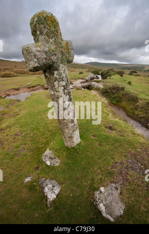 Bullseye Steinkreuz in der Nähe von Feather Tor auf Dartmoor Stockfoto