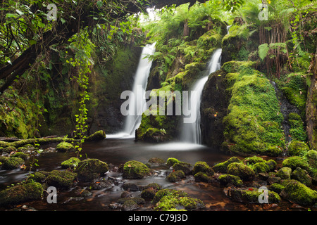 Wasserfall auf Dartmoor in Devon Stockfoto