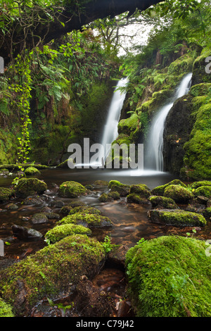 Wasserfall auf Dartmoor in Devon Stockfoto