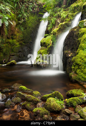 Wasserfälle auf Nebenfluss des Flusses Dart auf Dartmoor in Devon Stockfoto