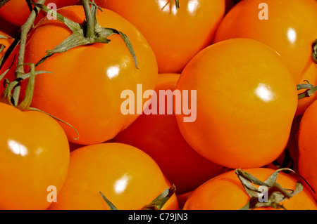 Nahaufnahme von Orange Tomaten Stockfoto