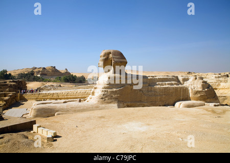 Die große Sphinx auf dem Gizeh-Plateau in Kairo, Ägypten Stockfoto
