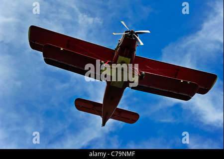 Eine Antonov AN-2 Doppeldecker Landung. Stockfoto