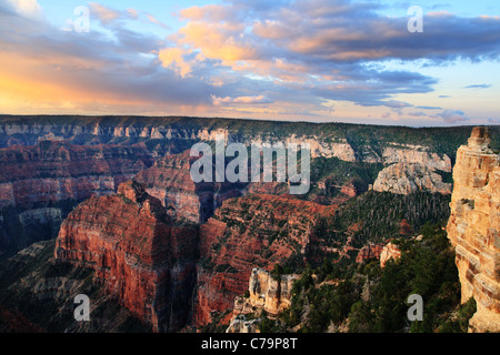Sonnenaufgang leuchtet die Wolken über den North Rim des Grand Canyon Stockfoto