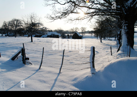 Eine Wiese mit einem Bauernhof im Schnee, in der Normandie (Domfrontais, Basse Normandie, Frankreich). Stockfoto