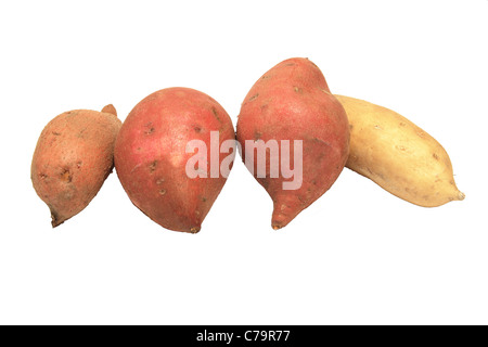 vier süße Kartoffeln in verschiedenen Farben, isoliert auf weiss Stockfoto