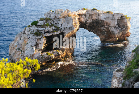 Es Pontas, ein natürlichen Felsbogen aus die Küste von Cala Santanyi, Mallorca, Balearen, Spanien, Europa Stockfoto