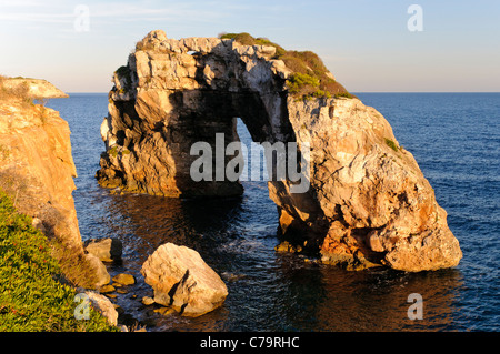 Es Pontas, ein natürlichen Felsbogen aus die Küste von Cala Santanyi, Mallorca, Balearen, Spanien, Europa Stockfoto