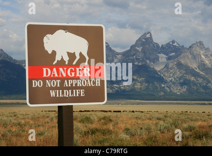 Gefahr tun kein Ansatz Tierwelt Schild mit Büffel und grand Teton in der Ferne Stockfoto