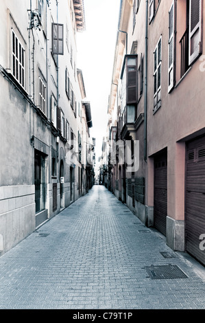 Gasse in der Altstadt von Palma de Mallorca, kreative, Mallorca, Balearen, Spanien, Europa Stockfoto