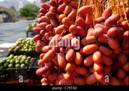 Frische Datum Früchte hängen auf den Stielen auf einem Markt in der Westbank palästinensischen Stadt Jericho. Stockfoto