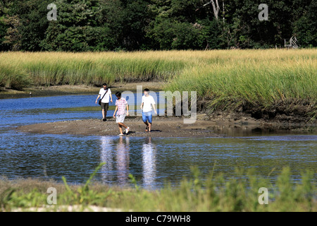 Freunde der Feuchtgebiete im Hafen von Stony Brook auf Long Island Sound Long Island NY erkunden Stockfoto