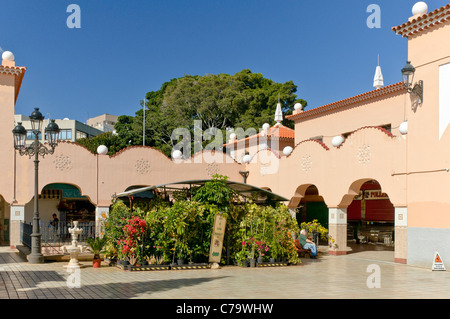 Mercado de Nuestra Señora de Africa, Santa Cruz de Tenerife, Teneriffa, Kanarische Inseln, Spanien, Europa Stockfoto