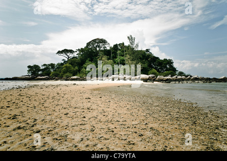 Strand von Paya mit Wellenmuster bei Ebbe, Pulau Tioman Island, Malaysia, Südostasien, Asien Stockfoto