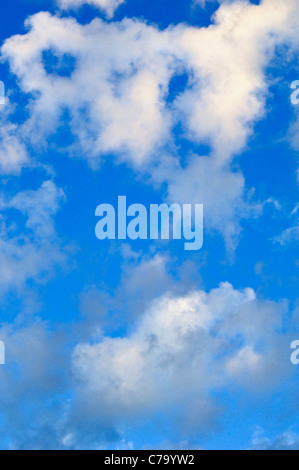 Weißen Cumulus-Wolken am blauen Himmel Stockfoto