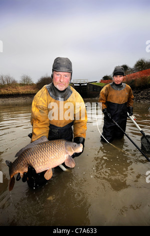 British Waterways Ökologen abtropfen lassen die Seite Teiche von Caen Hill Lock Flug in der Nähe von Devizes, Wiltshire, überfüllten Fisch St zu entfernen Stockfoto