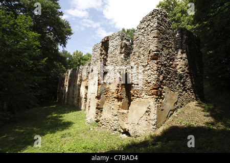 Die Ruinen des verlassenen mittelalterlichen Franziskaner-Kloster St. Katharina von Alexandrien im männlichen Karpaty, Slowakei gewidmet. Stockfoto