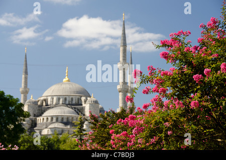 Türkei, Istanbul. Blaue Moschee (aka Sultan Ahmet I Camii), ca. 1609. Sultanahmet-Platz, UNESCO. Stockfoto