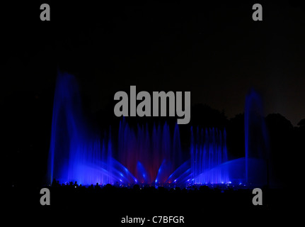 Wasser und Licht-Spektakel im Botanischen Garten, Planten un Blomen in der Abenddämmerung, Hamburg, Deutschland Stockfoto