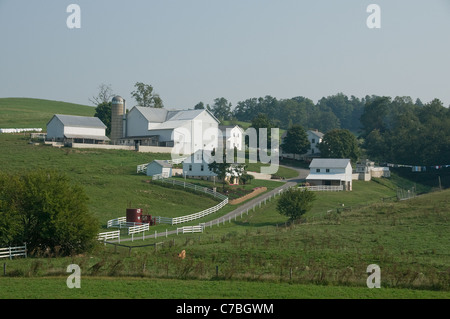 Amish Bauernhof Ohio USA Stockfoto