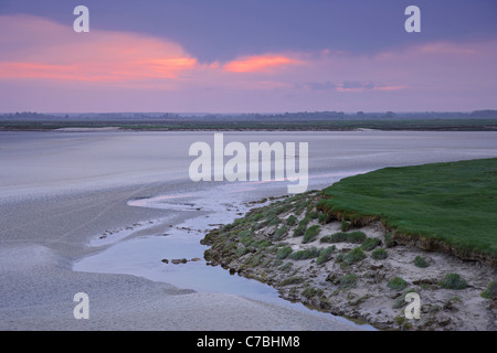 Am frühen Morgen an der Baie de Somme bei Saint-Valery-Sur-Somme, Abt. Somme Picardie, Frankreich, Europa Stockfoto