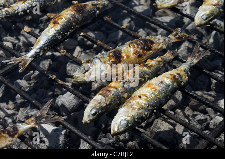 Gegrillte Sardinen Stockfoto