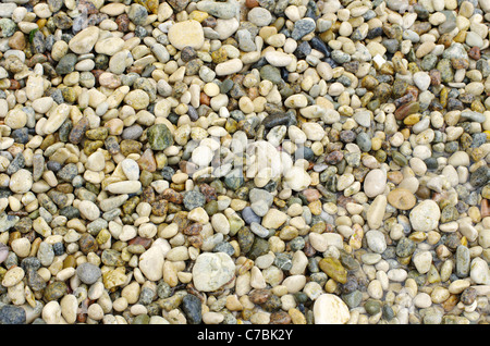 als Hintergrund große Kieselsteine Stockfoto