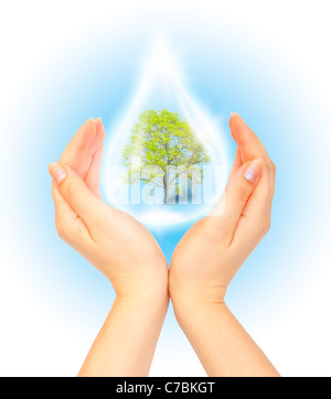 Tropfen Wasser mit Baum im Inneren und Menschenhand. Das Symbol der Save Green Planet Stockfoto