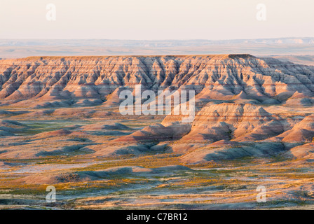 Frühen Morgenlicht glänzt auf den geformten Türmen, die über die Prärie Grasland in Badlands Nationalpark steigen. Stockfoto