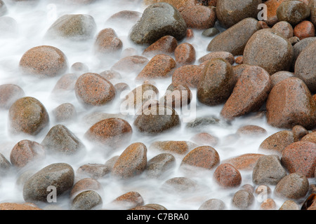 Wasser waschen über Runde Pflaster, Boulder Beach, Denkmal Cove, Acadia National Park, Maine, USA Stockfoto