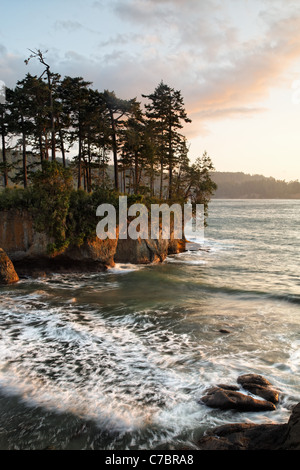 Zerklüftete Küstenlinie in Salt Creek Recreation Area, Clallam County, Washington, USA Stockfoto