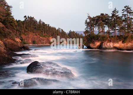 Zerklüftete Küstenlinie in Salt Creek Recreation Area, Clallam County, Washington, USA Stockfoto