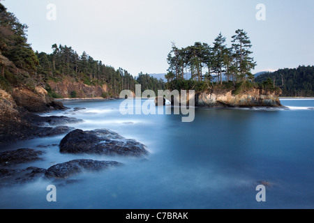 Zerklüftete Küstenlinie in Salt Creek Recreation Area, Clallam County, Washington, USA Stockfoto