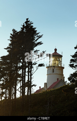 Heceta Head Lighthouse, Oregon, USA, Nordamerika Stockfoto