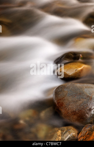 Wasser fließt über Steinen im Elwah Fluss, Olympic Nationalpark, Washington Stockfoto