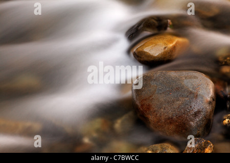 Wasser fließt über Steinen im Elwah Fluss, Olympic Nationalpark, Washington Stockfoto