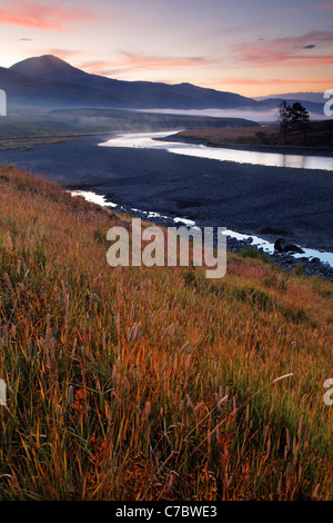 Grasige Ufer des Flusses Lamar läuft durch Lamar Valley Herbst morgens, Yellowstone-Nationalpark, Wyoming, USA Stockfoto