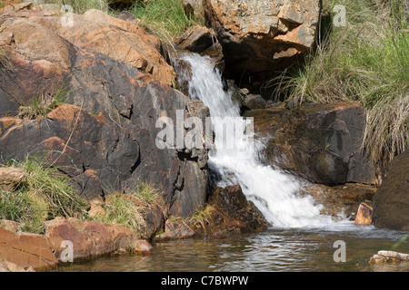 Kleiner Wasserfall in einem australischen Busch Bachlauf. Avon Valley, in den Hügeln außerhalb von Perth, Western Australia. Stockfoto