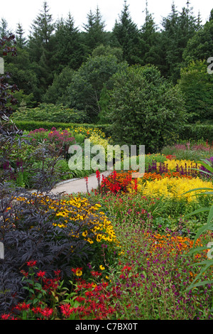 Die Hot-Garten in den Royal Horticultural Society Gärten am Rosemoor in der Nähe von Great Torrington, Devon, England, UK Stockfoto