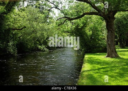 Das Fluss-Cong Cong, County Mayo, Irland Stockfoto