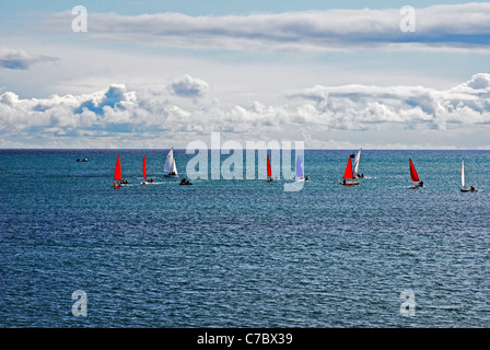 kleine Segelboote offshore racing aus Lyme Regis Dorset-England Stockfoto