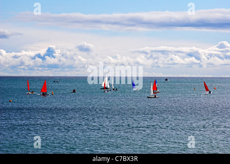 kleine Segelboote offshore racing aus Lyme Regis Dorset-England Stockfoto