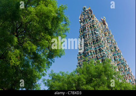 Details an der Außenwand des Meenakshi Amman Tempel in Madurai, Tamil Nadu, Indien. Stockfoto